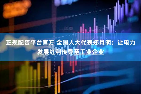 正规配资平台官方 全国人大代表郑月明：让电力发展红利传导至工业企业