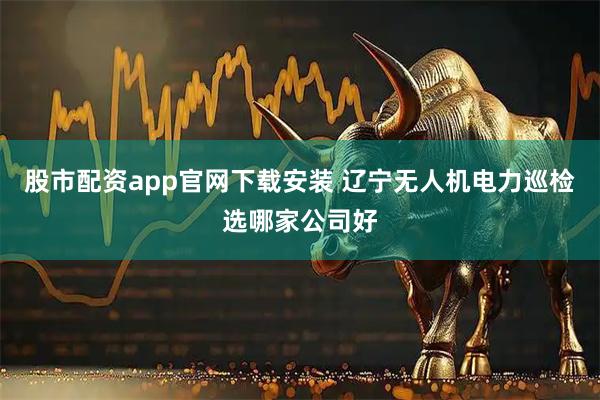 股市配资app官网下载安装 辽宁无人机电力巡检选哪家公司好